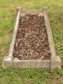 Grave of William Cornelius Griffiths. | Ronnie Pigram.