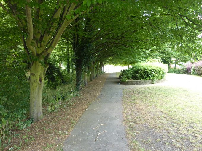 The Gardens at St Mary's Close, the trees have grown May 2011 | Margaret March