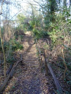 Looking up The Devil Steps - Winter 2010 | Eileen Gamble