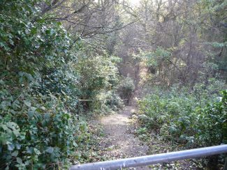 Looking down The Devil Steps - Winter 2010 | Eileen Gamble