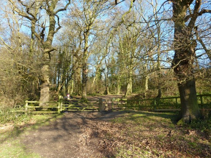 1936 Footpaths Pictures and Routes The Downs Benfleet Community Archive