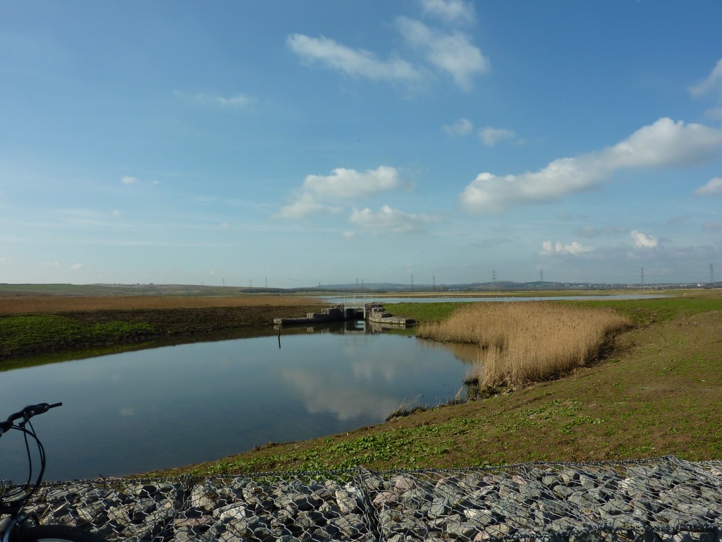 Vange Marsh RSPB Site The Downs Benfleet Community Archive