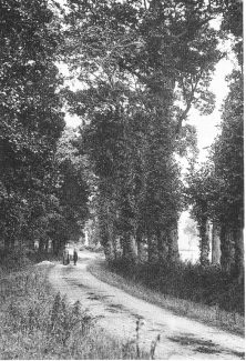A very early photo of Rushbottom Lane. Possibly 1920s A very early photo of Rushbottom Lane. Possibly 1920s