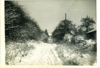 Back home in Hill Road after sledging | Harry Emery