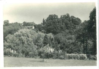 Taken early 1970s from the garden of 'The Chime' looking east.  The property in the distance is 'Crescent House' located in Mount Crescent. | Harry Emery