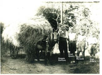 Cutting the hay | Harry Emery