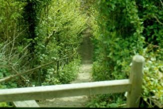 Looking down The Devil Steps - Summer 1961 | Harry Emery