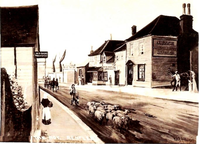 Sheep in the High Street