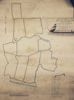 Map of Kersey Marsh Farm date unknown