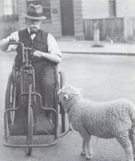 Ted Land Senior with his pet lamb