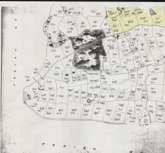 Tithe map 2 of 2 showing land occupied by Reeds Hill Farm in 1841