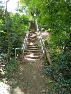 View up steps, refurbished in 2020 View up steps, refurbished in 2020 | Susan Mansfield