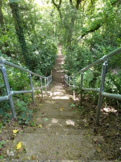 View down steps, refurbished in 2020. | Susan Mansfield